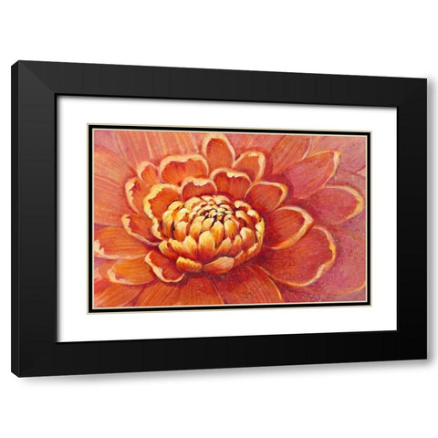 Micro Floral II Black Modern Wood Framed Art Print with Double Matting by OToole, Tim