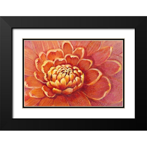 Micro Floral II Black Modern Wood Framed Art Print with Double Matting by OToole, Tim