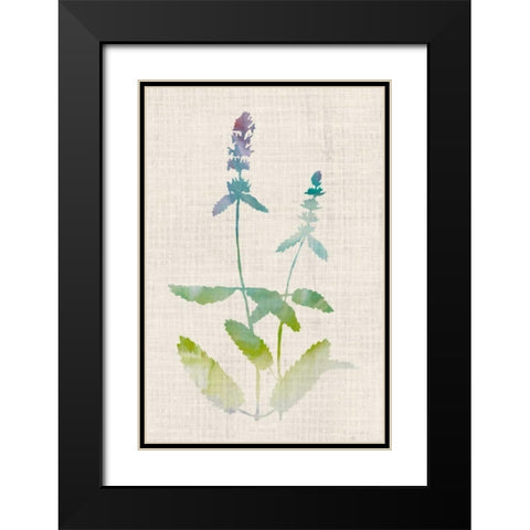 Watercolor Plants IV Black Modern Wood Framed Art Print with Double Matting by McCavitt, Naomi
