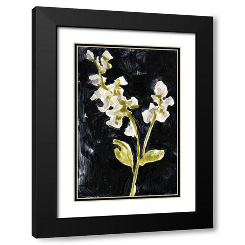 Midnight Phlox I Black Modern Wood Framed Art Print with Double Matting by Goldberger, Jennifer