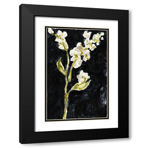 Midnight Phlox II Black Modern Wood Framed Art Print with Double Matting by Goldberger, Jennifer