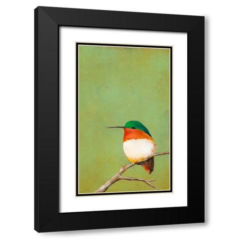 Perch III Black Modern Wood Framed Art Print with Double Matting by Altug, Mehmet