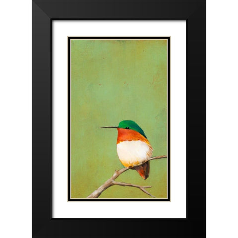 Perch III Black Modern Wood Framed Art Print with Double Matting by Altug, Mehmet