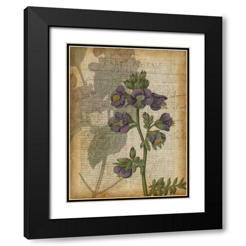 Fuchsia Flowers I Black Modern Wood Framed Art Print with Double Matting by Studio W