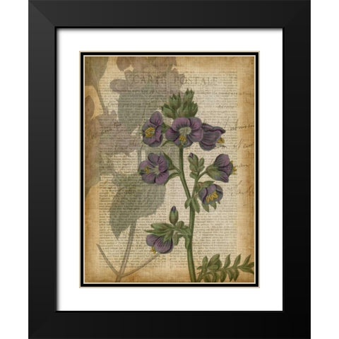 Fuchsia Flowers I Black Modern Wood Framed Art Print with Double Matting by Studio W