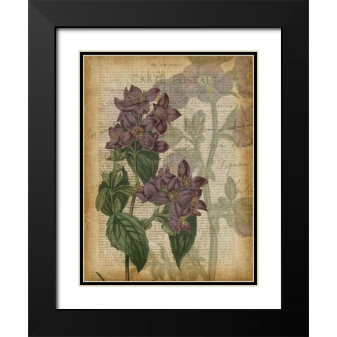 Fuchsia Flowers II Black Modern Wood Framed Art Print with Double Matting by Studio W
