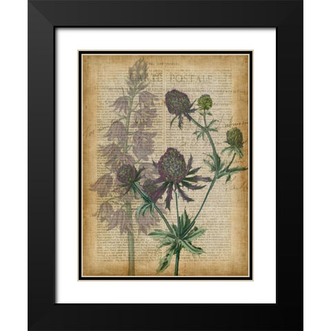 Fuchsia Flowers III Black Modern Wood Framed Art Print with Double Matting by Studio W