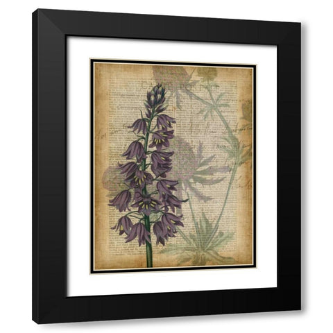 Fuchsia Flowers IV Black Modern Wood Framed Art Print with Double Matting by Studio W