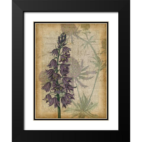 Fuchsia Flowers IV Black Modern Wood Framed Art Print with Double Matting by Studio W