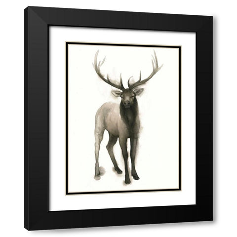 Majestic Wildlife II Black Modern Wood Framed Art Print with Double Matting by Popp, Grace