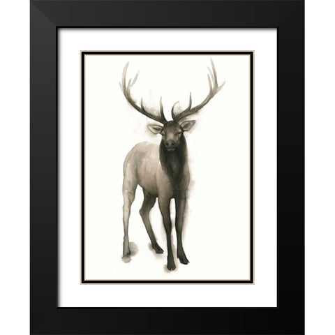 Majestic Wildlife II Black Modern Wood Framed Art Print with Double Matting by Popp, Grace