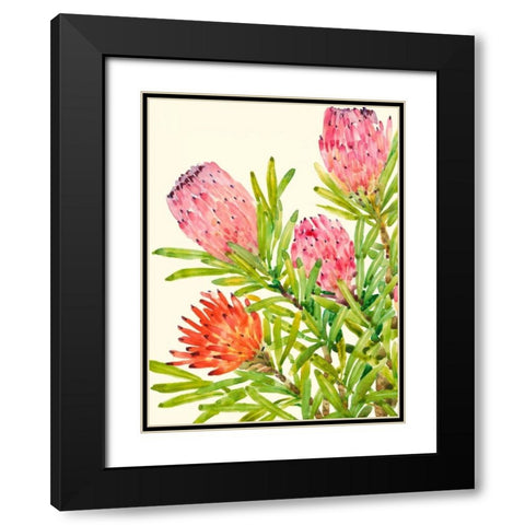 Watercolor Tropical Flowers I Black Modern Wood Framed Art Print with Double Matting by OToole, Tim