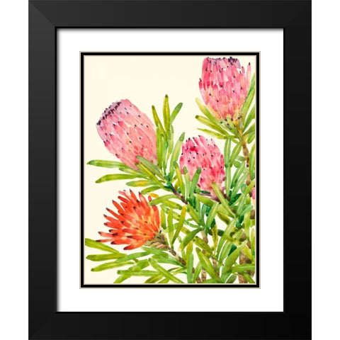 Watercolor Tropical Flowers I Black Modern Wood Framed Art Print with Double Matting by OToole, Tim