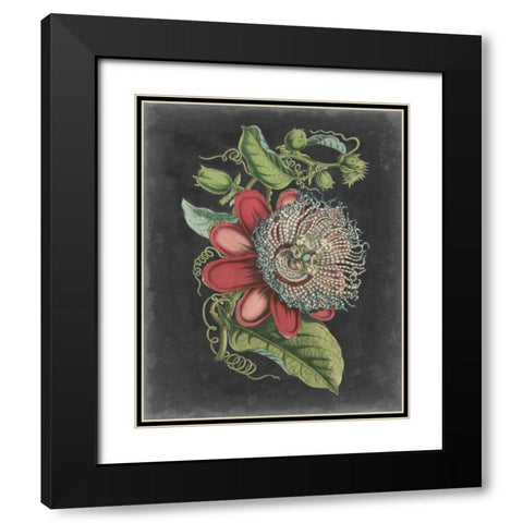 Dramatic Tropical Beauty I Black Modern Wood Framed Art Print with Double Matting by Wiek, John