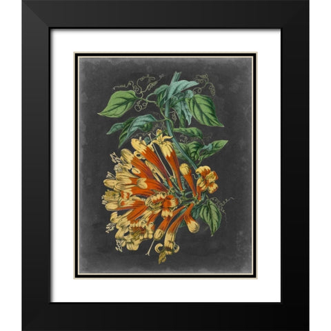 Dramatic Tropical Beauty II Black Modern Wood Framed Art Print with Double Matting by Wiek, John