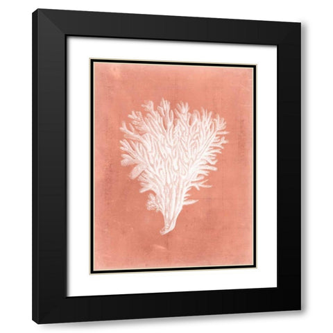 Sealife on Coral II Black Modern Wood Framed Art Print with Double Matting by Vision Studio