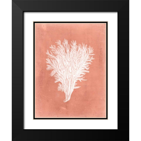 Sealife on Coral II Black Modern Wood Framed Art Print with Double Matting by Vision Studio