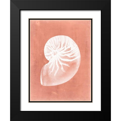 Sealife on Coral V Black Modern Wood Framed Art Print with Double Matting by Vision Studio