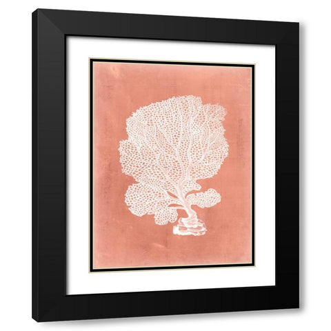Sealife on Coral VIII Black Modern Wood Framed Art Print with Double Matting by Vision Studio