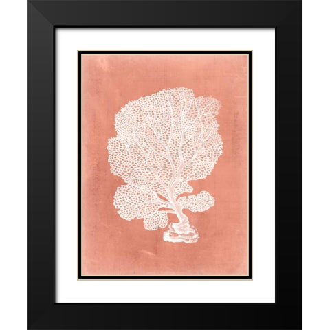 Sealife on Coral VIII Black Modern Wood Framed Art Print with Double Matting by Vision Studio