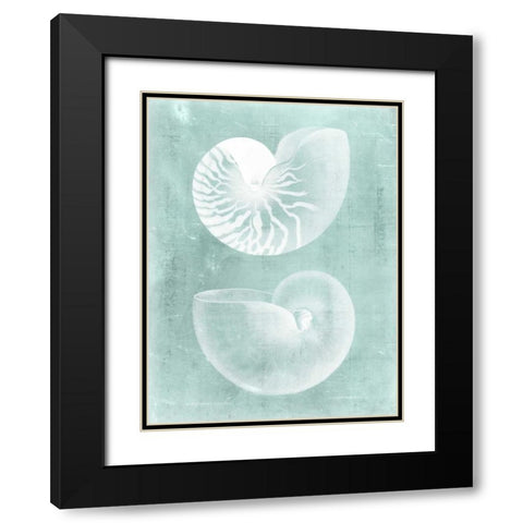 Nautilus on Spa I Black Modern Wood Framed Art Print with Double Matting by Vision Studio