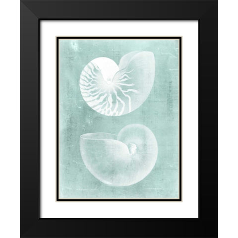 Nautilus on Spa I Black Modern Wood Framed Art Print with Double Matting by Vision Studio