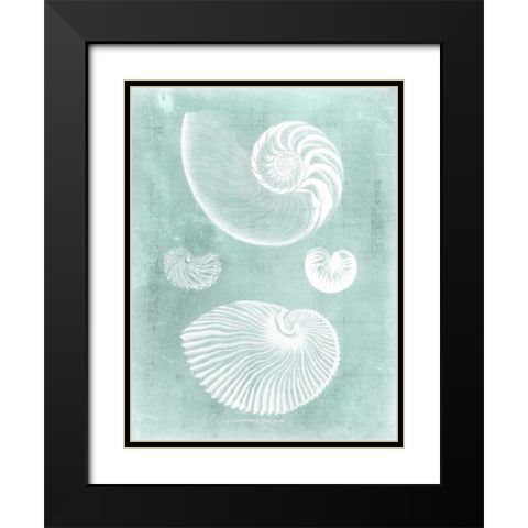 Nautilus on Spa II Black Modern Wood Framed Art Print with Double Matting by Vision Studio