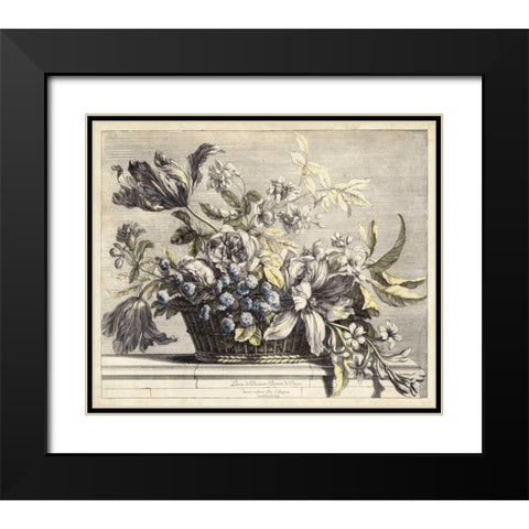 Vintage Basket of Flowers I Black Modern Wood Framed Art Print with Double Matting by Baptiste, Giovanni