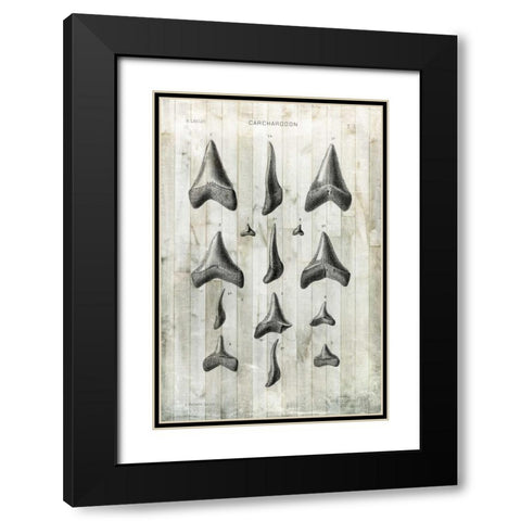 Relic Hunter I Black Modern Wood Framed Art Print with Double Matting by Vision Studio