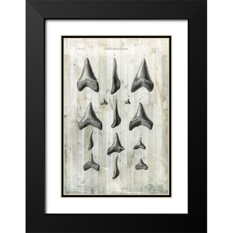 Relic Hunter I Black Modern Wood Framed Art Print with Double Matting by Vision Studio