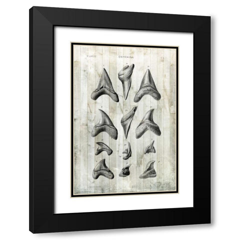 Relic Hunter II Black Modern Wood Framed Art Print with Double Matting by Vision Studio