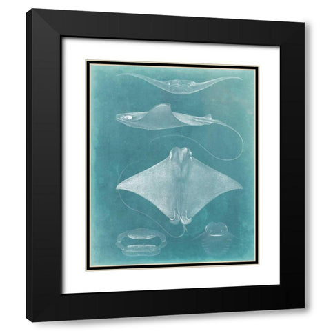 Morning Swim II Black Modern Wood Framed Art Print with Double Matting by Vision Studio