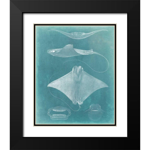 Morning Swim II Black Modern Wood Framed Art Print with Double Matting by Vision Studio