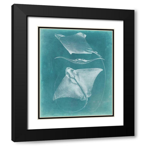 Morning Swim III Black Modern Wood Framed Art Print with Double Matting by Vision Studio