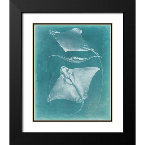 Morning Swim III Black Modern Wood Framed Art Print with Double Matting by Vision Studio