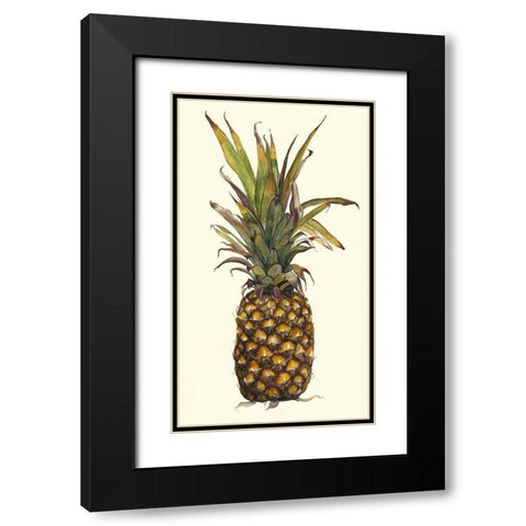 Pineapple Study II (ASH) Black Modern Wood Framed Art Print with Double Matting by Willett, Michael