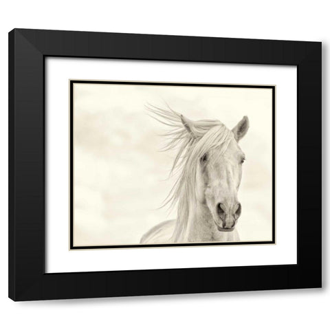 Wind Blown Mane I Black Modern Wood Framed Art Print with Double Matting by PHBurchett