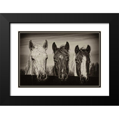 Three Amigos I Black Modern Wood Framed Art Print with Double Matting by PHBurchett