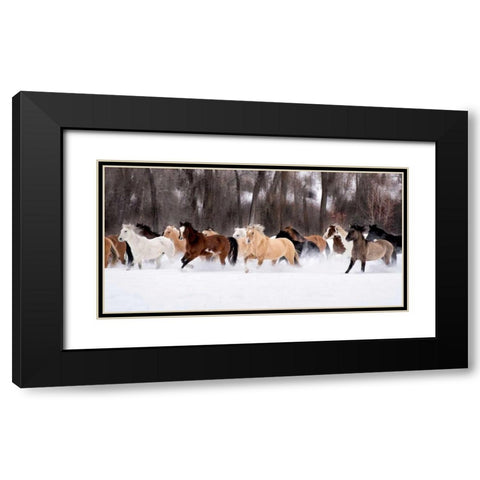 Snow Run II Black Modern Wood Framed Art Print with Double Matting by PHBurchett