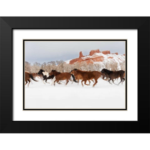 Snow Run III Black Modern Wood Framed Art Print with Double Matting by PHBurchett