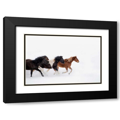 Snow Run IV Black Modern Wood Framed Art Print with Double Matting by PHBurchett
