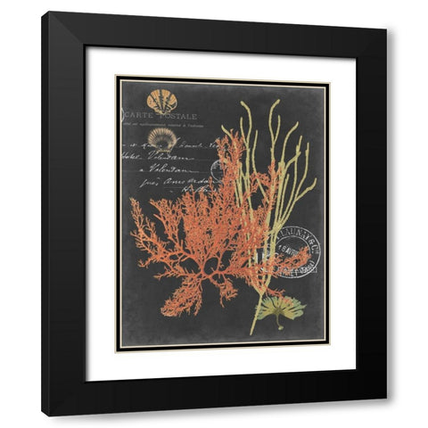 Coastal Post II Black Modern Wood Framed Art Print with Double Matting by Studio W