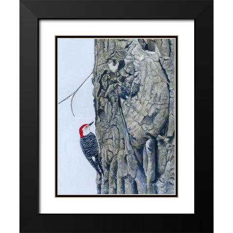 Red Bellied Woodpecker I Black Modern Wood Framed Art Print with Double Matting by Szatkowski, Fred