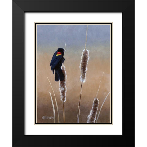 Redwing Morning I Black Modern Wood Framed Art Print with Double Matting by Szatkowski, Fred
