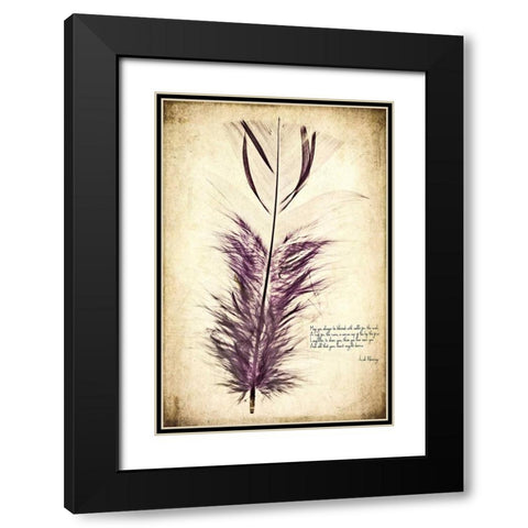 Feather in Color II Black Modern Wood Framed Art Print with Double Matting by Malek, Honey