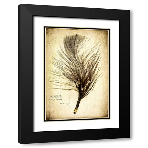 Feather on the Wind II Black Modern Wood Framed Art Print with Double Matting by Malek, Honey