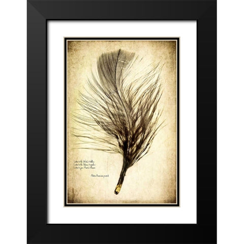 Feather on the Wind II Black Modern Wood Framed Art Print with Double Matting by Malek, Honey