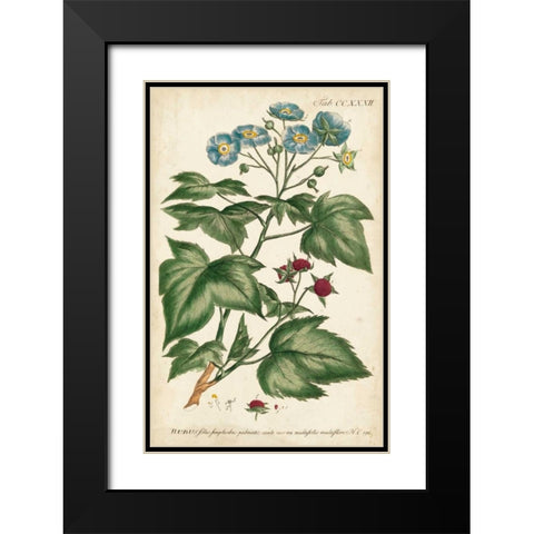 Chambray Botanical I Black Modern Wood Framed Art Print with Double Matting by Miller, Dianne