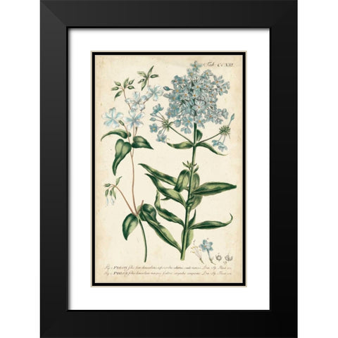 Chambray Botanical II Black Modern Wood Framed Art Print with Double Matting by Miller, Dianne