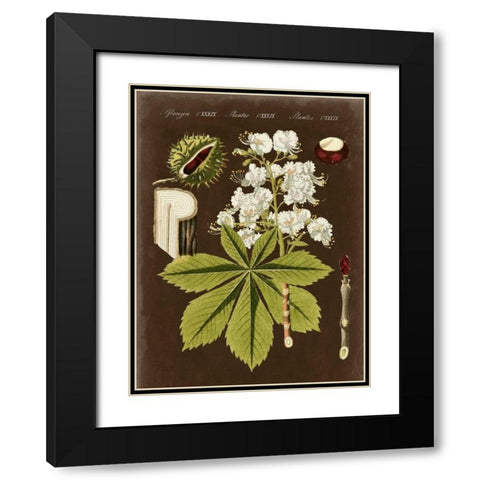 Chestnut on Suede Black Modern Wood Framed Art Print with Double Matting by Vision Studio